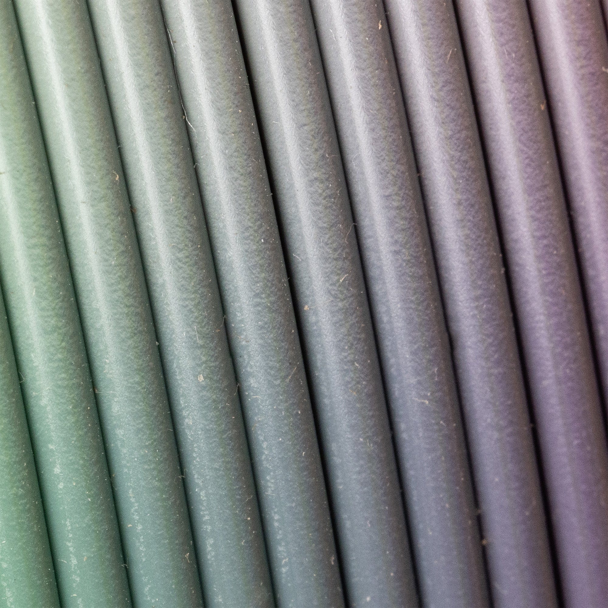 Silk Rainbow close-up