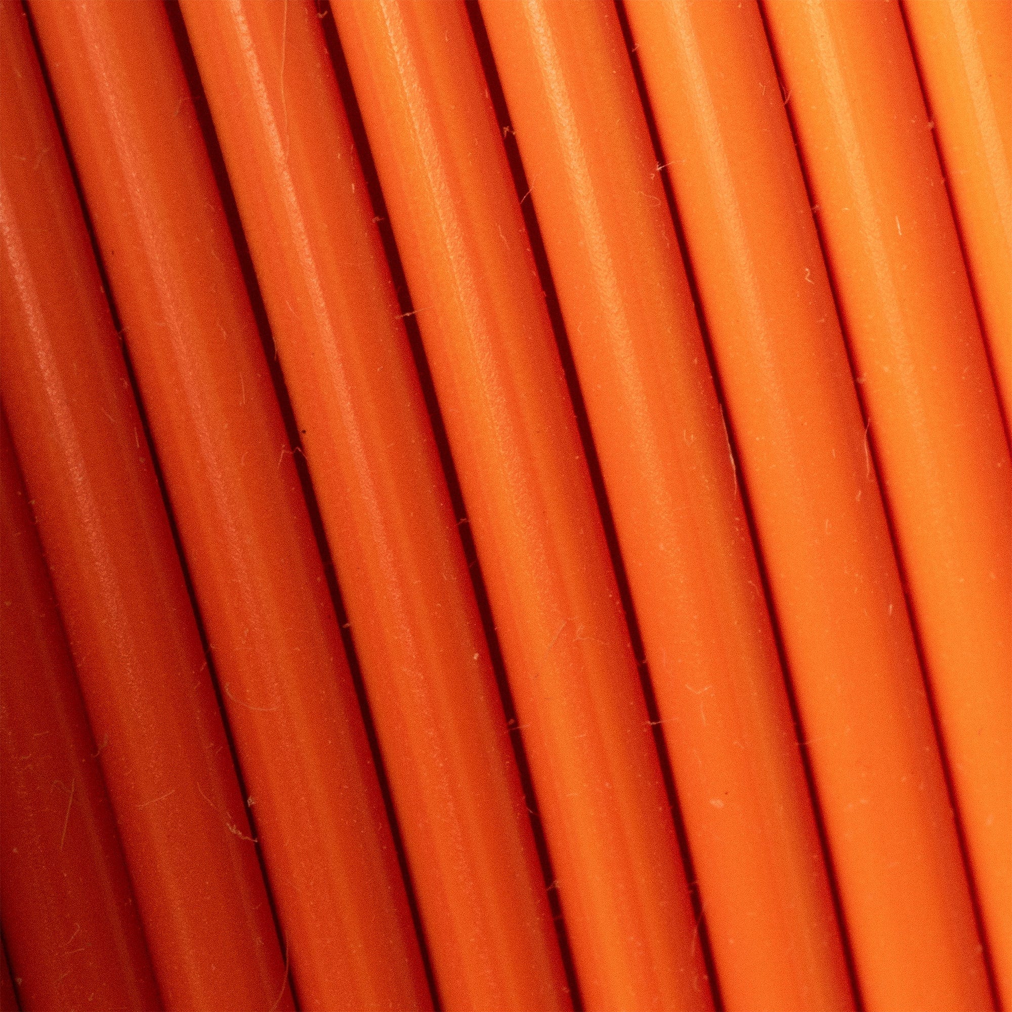 Silk Fire close-up